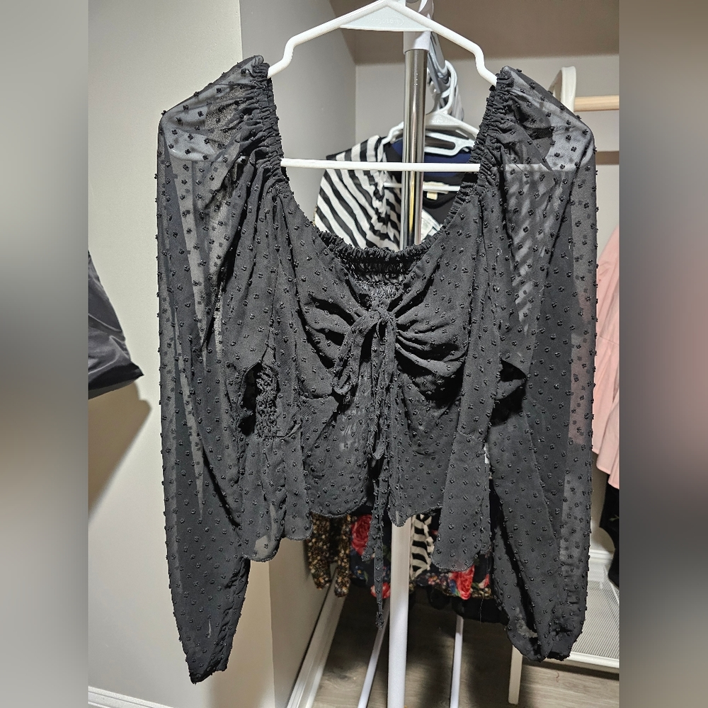 #44 Sheer Crop Top Blouse